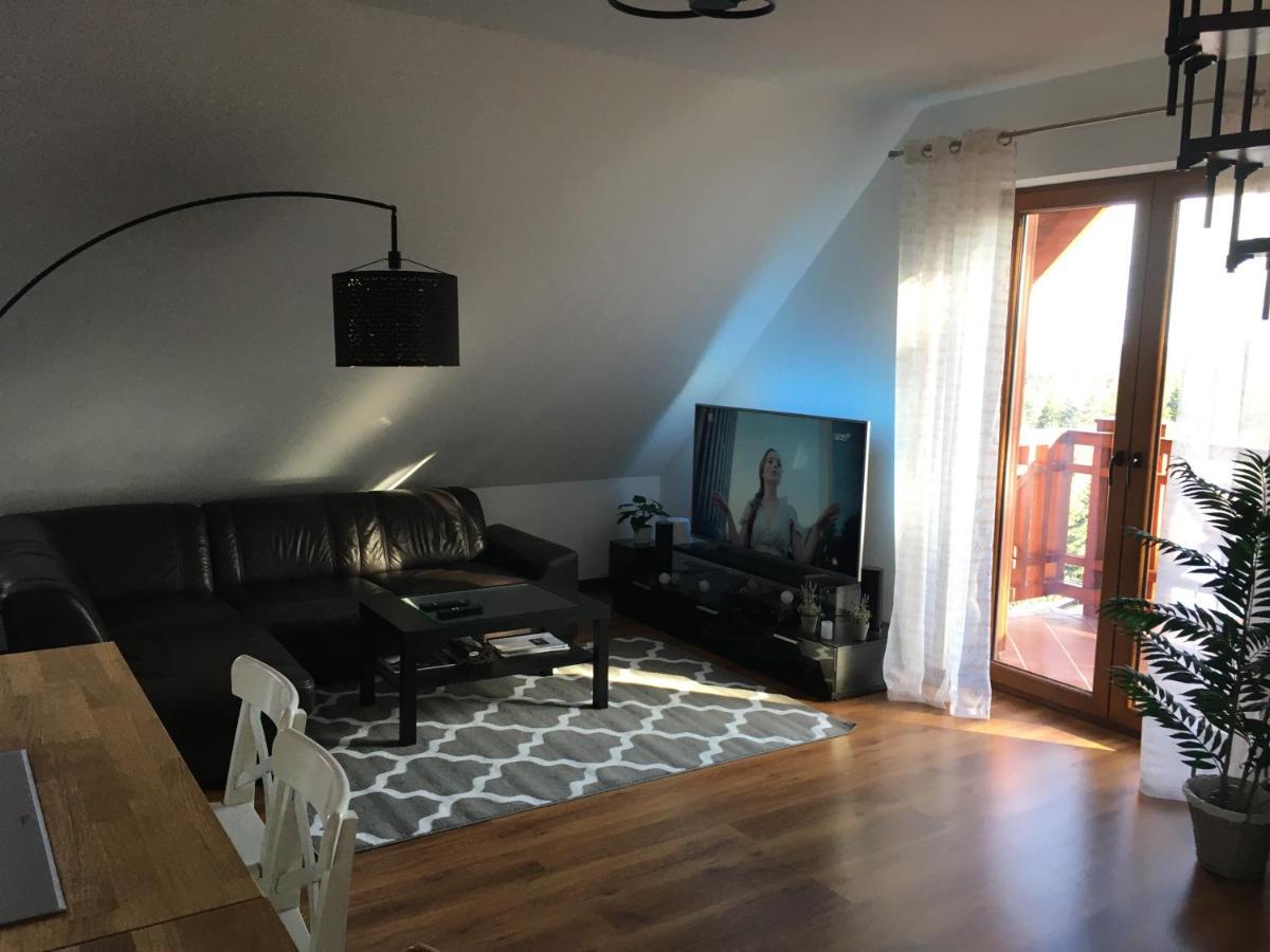 Apartament Urocza Przy Wyciagu Ski Arena شكلارسكا بوريبا المظهر الخارجي الصورة